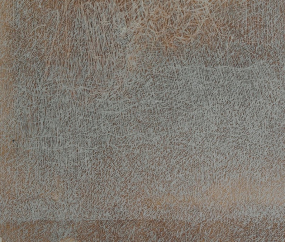 web site reduced goldfish